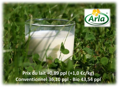 Arla UK augmente le prix du lait de décembre d’un centime | Lait de Normandie... et d'ailleurs | Scoop.it