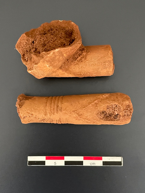 L'analyse métabolomique de pipes des XVIIIe et XIXe siècles du royaume du Dahomey (Bénin actuel) indique que l'on fumait des plantes contenant de la caféine | Life Sciences Université Paris-Saclay | Scoop.it