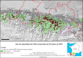 Ours infos 2022 | Biodiversité | Scoop.it