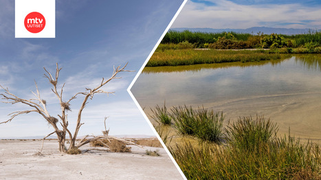 "Aavemaa" voi pelastua: Myrkyllisen suolaj&auml;rven alla lymy&auml;&auml; satojen miljardien aarre | 1Uutiset - Lukemisen t&auml;hden | Scoop.it