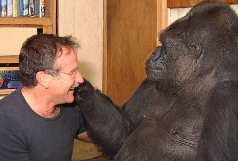 Empathy is More Common in Animals Than Originally Thought | Empathy and Animals | Scoop.it