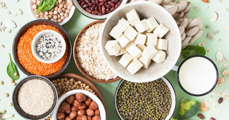 Reducing the plant protein deficit of the EU | Environnement : Politiques Publiques et Strat&eacute;gie | Scoop.it