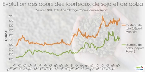 Des tendances plutôt baissières sur les marchés des tourteaux et des céréales | Lait de Normandie... et d'ailleurs | Scoop.it