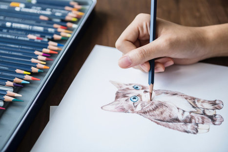 7 incre&iacute;bles tutoriales gratuitos para aprender a dibujar ✍️ | Educaci&oacute;n, TIC y ecolog&iacute;a | Scoop.it