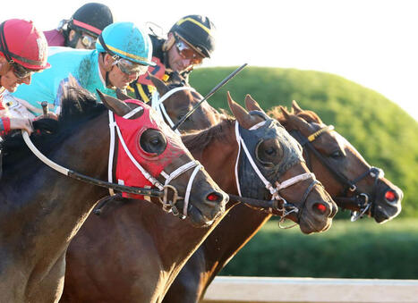 HIWU Releases 2025 Annual Report | Racing Regulatory Issues | Scoop.it