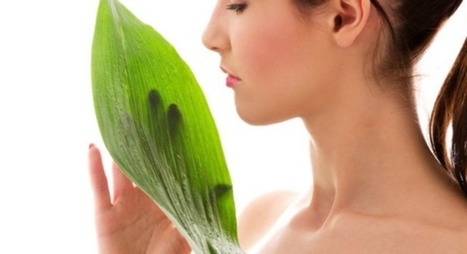 Vegan beauty: spotlight on the rising trend | Sustainable Procurement & CSR News - Cosmetics Industry | Scoop.it