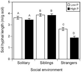 PLOS ONE: Plant Kin Recognition Enhances Abundance of Symbiotic Microbial Partner | Plant-Microbe Symbiosis | Scoop.it