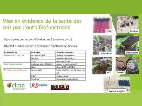 Mise en évidence de la santé des sols par l’outil Biofunctool | MOF matière organique réactive du sol | Scoop.it