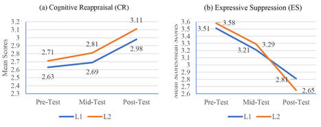 A longitudinal analysis of physical exercise in shaping language learners’ emotional well-being: a comparative analysis between L1 and L2 students | BMC Psychology | Full Text | Language Education:  Major Papers and Reports | Scoop.it