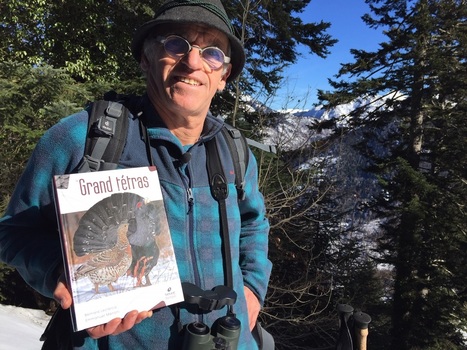 Le Grand Tétras, oiseau emblématique des Pyrénées impacté par le changement climatique | Vallées d'Aure & Louron - Pyrénées | Scoop.it