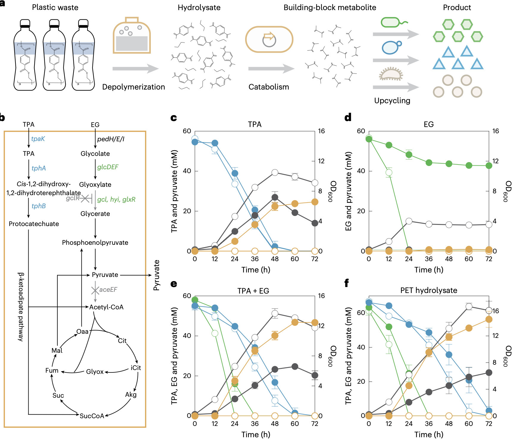 A programmable microbial assembly line for plas...