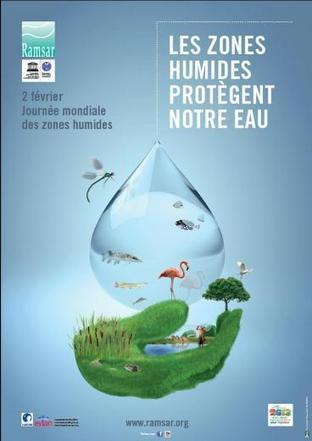 2 février 2013 - journée mondiale des zones humides  - des milieux humides essentiels pour la ressource en eau | Gestion de l'eau | Scoop.it