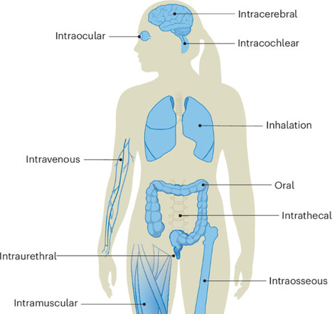 Targeted delivery of genome editors in vivo | Nbt | RMH | Scoop.it