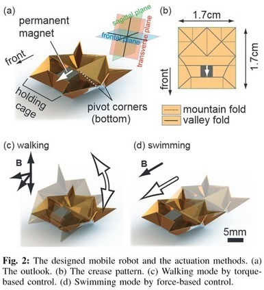 Der Roboter, der aus der Faltung kam | MIT | Research | Robotics | Video | 21st Century Innovative Technologies and Developments as also discoveries, curiosity ( insolite)... | Scoop.it