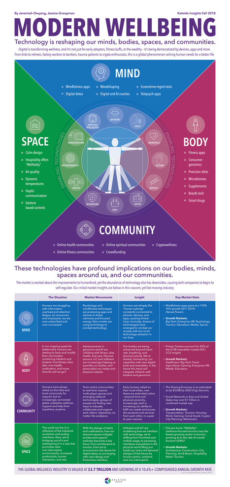 Modern Wellbeing: Infographic Mapping Impacts on Mind, Body, Environment, and Communities &ndash; Kaleido Insights | Chief People Officers | Scoop.it
