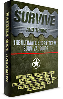 Chip Foreman's Book Survive & Thrive Book PDF Free Download | E-Books & Books (Pdf Free Download) | Scoop.it