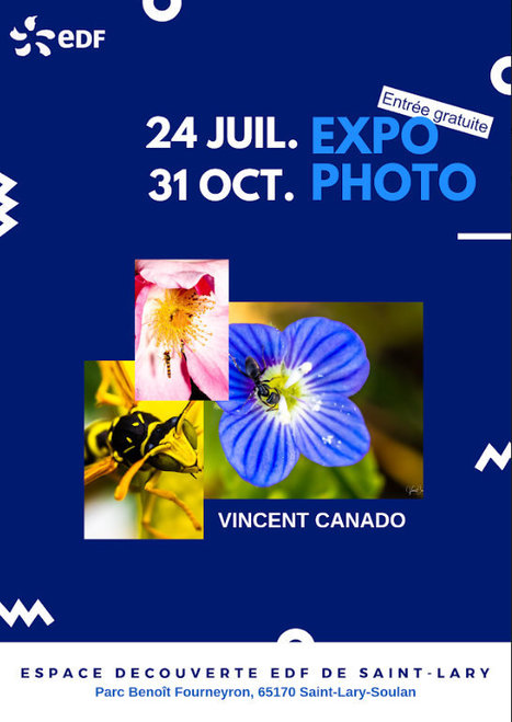 Exposition de photos sur le thème de la biodiversité à Saint-Lary Soulan | Vallées d'Aure & Louron - Pyrénées | Scoop.it