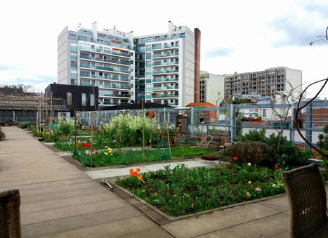 En images : les multiples facettes de l’agriculture urbaine | ESPACES VEGETALISES URBAINS | Scoop.it
