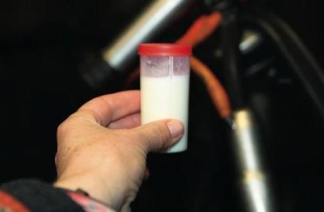 Une méthode de comptage cellulaire basée sur la génomique - 08-04-2014 - REUSSIR LAIT | SCIENCES DE L' ANIMAL | Scoop.it