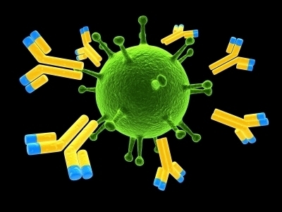 Inmunología | Immunology for University Students | Scoop.it