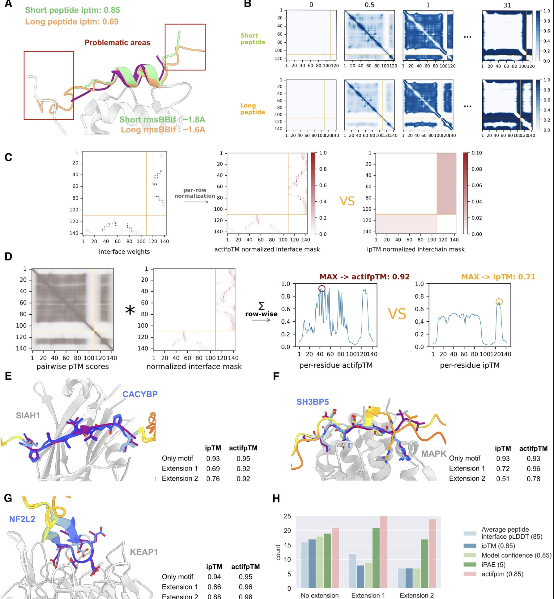 actifpTM: a refined confidence metric of AlphaF...