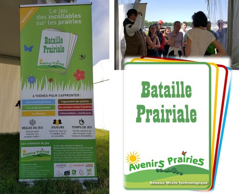 Bataille Prairiale, le jeu qui fait le buzz | Lait de Normandie... et d'ailleurs | Scoop.it