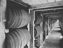Prohibition: Roots of Prohibition | PBS | IGCSE: USA in the '20s and '30s | Scoop.it