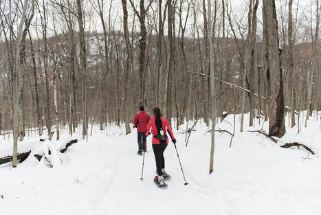 Aires prot&eacute;g&eacute;es: une coalition presse le gouvernement d'en faire plus | Ils parlent de nous ! | Scoop.it