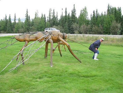 Eco Friendly Insect Repellent - EcoPlum! | The EcoPlum Daily | Scoop.it