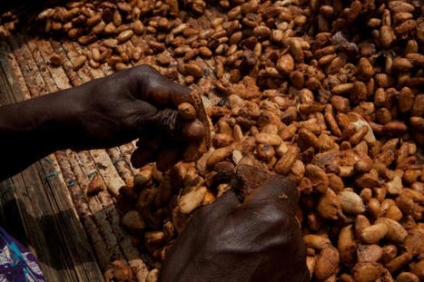 CSRWire - The World's Largest Food and Beverage Companies and Their Suppliers Must Do More to Create an Equitable and Sustainable Food System for All | Responsible Sourcing | Scoop.it