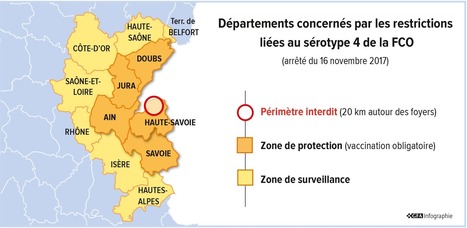FCO : Le sérotype 4 frappe à nouveau | Lait de Normandie... et d'ailleurs | Scoop.it