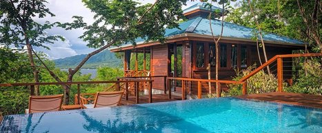 The Caribbean's Newest Treehouse Villas | Commonwealth of Dominica | Scoop.it