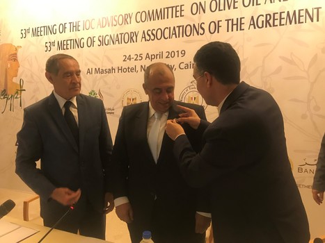 Travaux du Comité consultatif du Conseil oléicole international au Caire  | OLIVE NEWS | Scoop.it