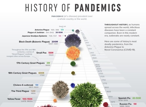 ELBLOGDEFORMACION: Historia de las pandemias #infografia #infographic #health | Educación, TIC y ecología | Scoop.it