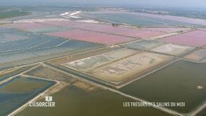 C'est pas sorcier aux Salins du Midi à Aigues-Mortes | Camargue Nature | Scoop.it