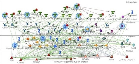 Poster: Mining PubMed for Biomarker-Disease Associations to Guide Discovery | Walter Jessen Discovery New Media | Longevity science | Scoop.it