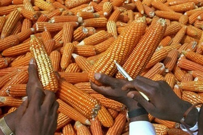 Africa Renewal | Africa Human Development Report stirs debate on food security | Food & Nutrition Security in East Africa | Scoop.it