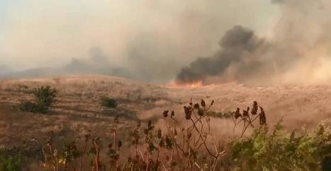 Santa Barbara County Brush Fire Chars More Than 440 Acres; 20% Contained | KCLU | Coastal Restoration | Scoop.it
