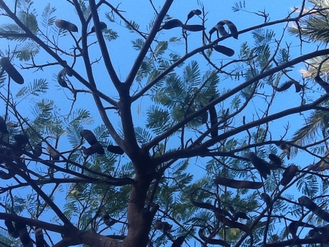 Clouds and Sky Over the Canary Islands | Elapsing Time | Scoop.it