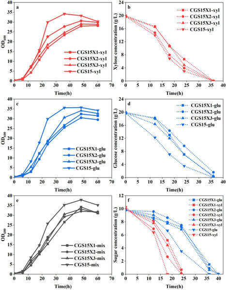 Construction of Corynebacterium glutamicum chassis for preferential utilization of xylose by adaptive laboratory evolution | RMH | Scoop.it