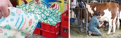 Algérie : La grande déception des éleveurs laitiers | Lait de Normandie... et d'ailleurs | Scoop.it
