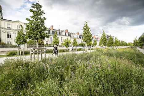Renaturation urbaine : les 10 recommandations de la Fnau pour rendre nos villes enfin r&eacute;silientes | Transition &eacute;nerg&eacute;tique et &eacute;cologique. Mobilit&eacute; et transports | Scoop.it