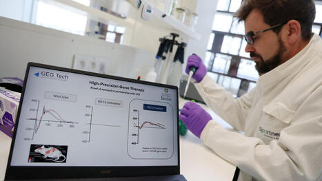 Cette incroyable technique redonne la vue aux souris aveugles&hellip; et bient&ocirc;t aux humains&nbsp;? - Le Parisien | Life Sciences Universit&eacute; Paris-Saclay | Scoop.it