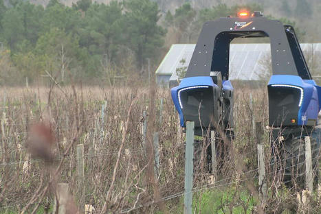 Salon de l'agriculture et urgence climatique : quand le vin se met au vert - France 3 r&eacute;gions | Pour innover en agriculture | Scoop.it