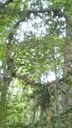 Mindful Meditation Walking | MindfulWalking | Scoop.it