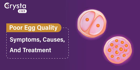 Signs of Bad Egg Quality | Fertility Treatment in India | Scoop.it
