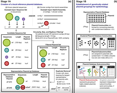 ACCIO: an assembly-based tool enabling plasmid detection | msc | RMH | Scoop.it