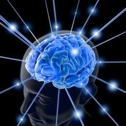 Je pense que je suis | Agence Science-Presse | Dr. Goulu | Scoop.it