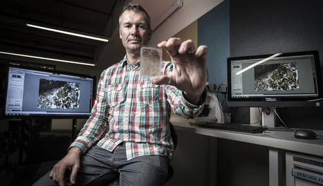 Possible cause of Homo floresiensis demise | Aux origines | Scoop.it