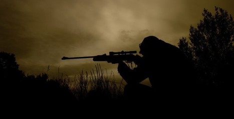 La DARPA et sa balle de sniper auto-guidée | Remembering tomorrow | Scoop.it